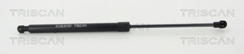 Gas Spring, rear window (8710 25275)