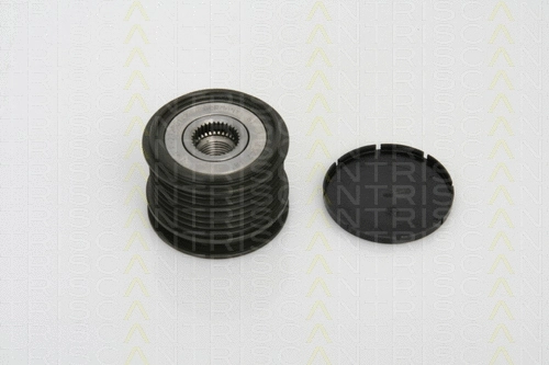 Alternator Freewheel Clutch (8641 234007)