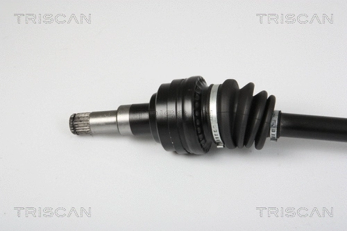 Drive Shaft