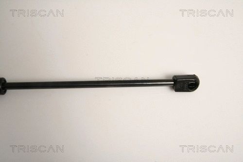Gas Spring, boot/cargo area
