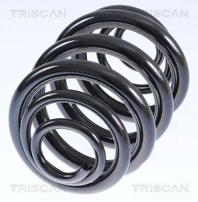 Suspension Spring (8750 29040)