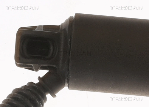 Gas Spring, boot/cargo area