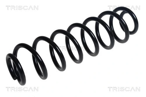 Suspension Spring (8750 29503)