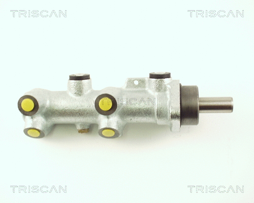 Brake Master Cylinder (8130 25117)