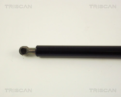 Gas Spring, boot/cargo area