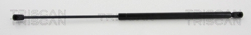 Gas Spring, boot/cargo area