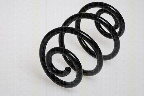 Suspension Spring (8750 1119)