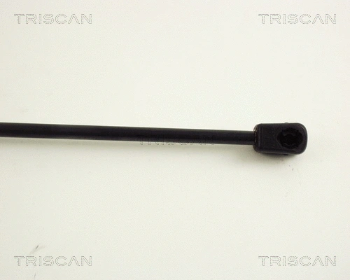 Gas Spring, boot/cargo area