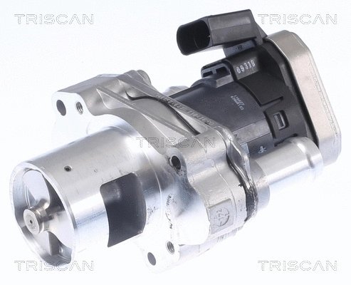 EGR Valve (8813 23019)
