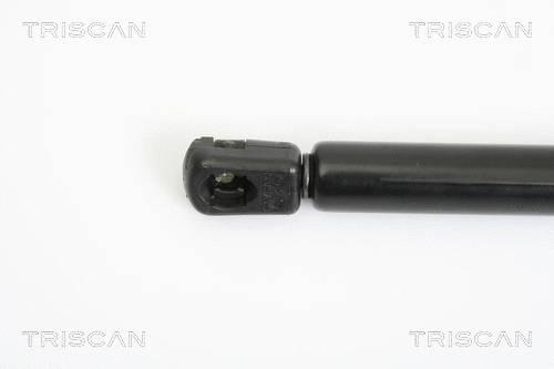 Gas Spring, boot/cargo area