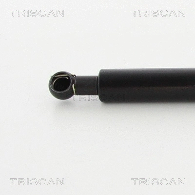 Gas Spring, boot/cargo area