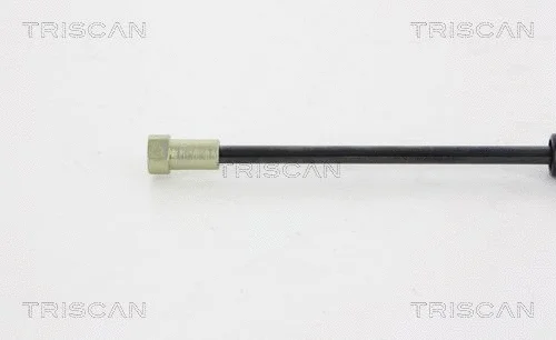 Gas Spring, boot/cargo area