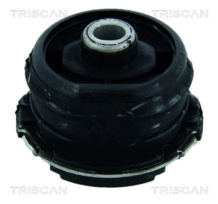 Bushing, axle beam (8500 23850)