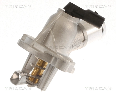 Thermostat, coolant (8620 54297)