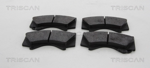 Brake Pad Set, disc brake (8110 13098)