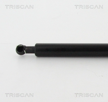 Gas Spring, boot/cargo area