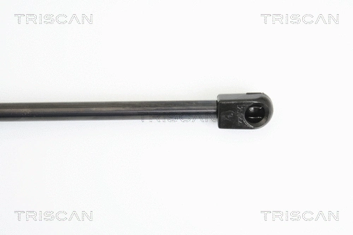 Gas Spring, boot/cargo area