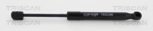 Gas Spring, boot/cargo area (8710 14251)