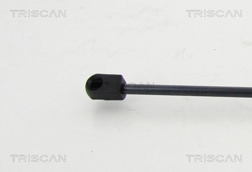 Gas Spring, boot/cargo area
