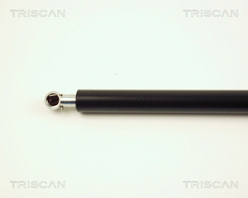 Gas Spring, boot/cargo area