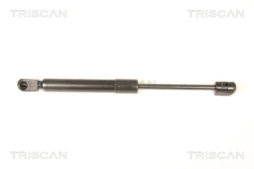 Gas Spring, boot/cargo area (8710 50246)