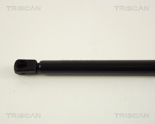 Gas Spring, boot/cargo area