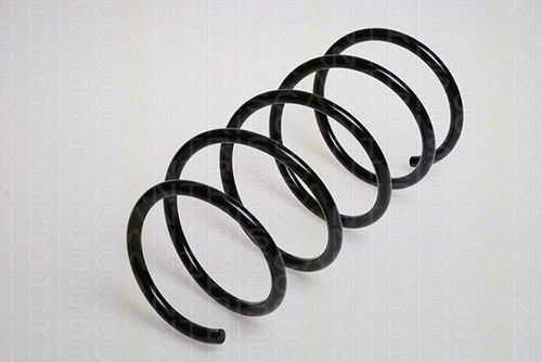 Suspension Spring (8750 1169)