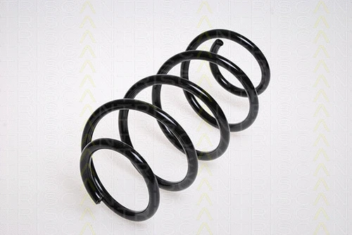 Suspension Spring (8750 29144)