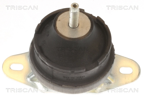 Mounting, engine (8505 10131)
