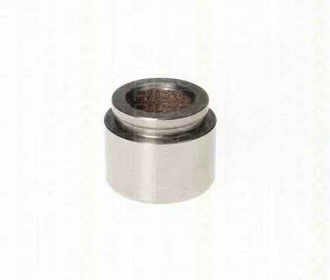 Piston, brake caliper (8170 234036)