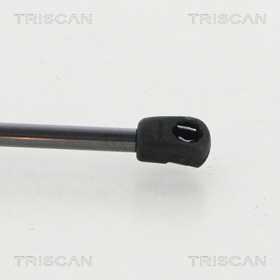 Gas Spring, boot/cargo area