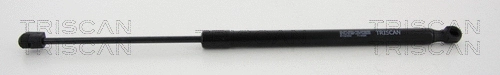Gas Spring, boot/cargo area