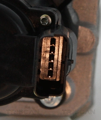 EGR Valve
