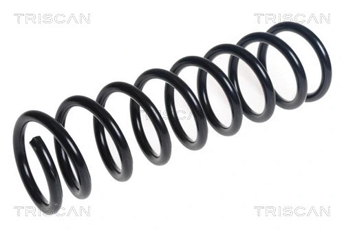 Suspension Spring (8750 16142)
