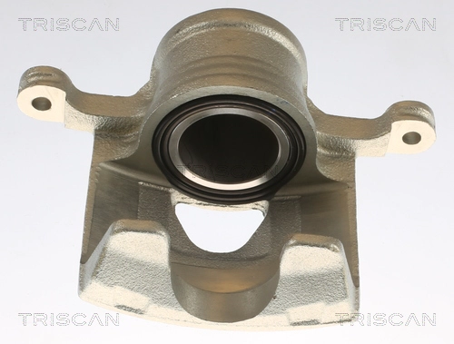 Brake Caliper (8175 21101)