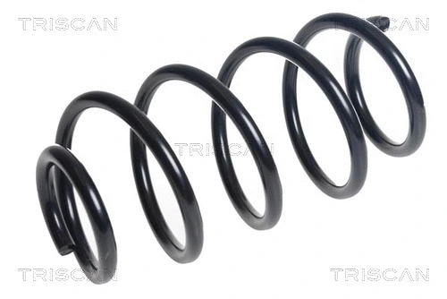 Suspension Spring (8750 16141)