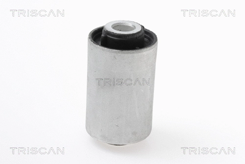 Mounting, control/trailing arm (8500 298054)