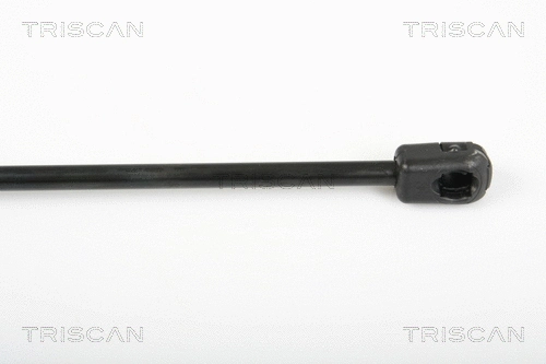Gas Spring, boot/cargo area