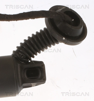 Gas Spring, boot/cargo area