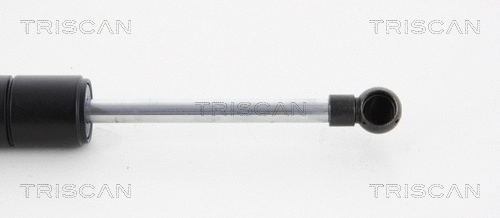Gas Spring, boot/cargo area