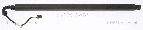 Gas Spring, boot/cargo area (8710 29308)