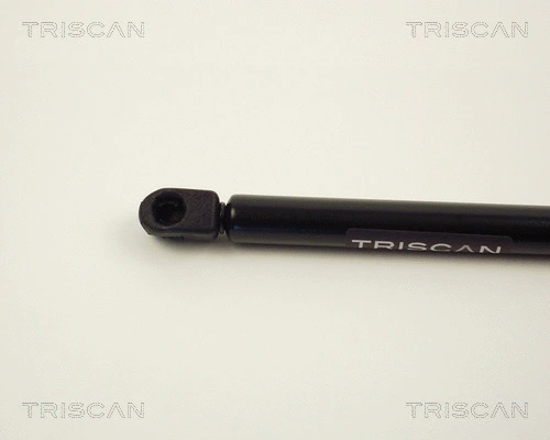 Gas Spring, boot/cargo area