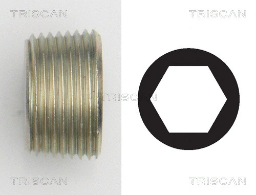 Screw Plug, oil sump (9500 1015)