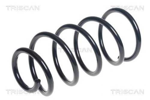 Suspension Spring (8750 16169)