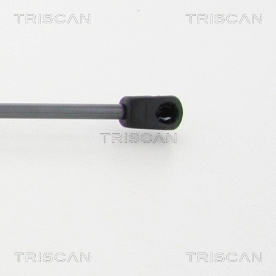 Gas Spring, boot/cargo area