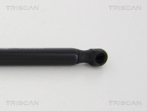 Gas Spring, boot/cargo area