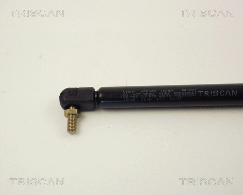 Gas Spring, boot/cargo area