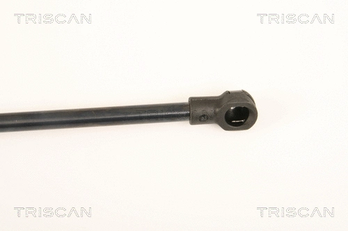 Gas Spring, rear window