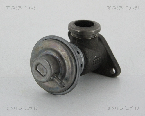 EGR Valve (8813 28014)