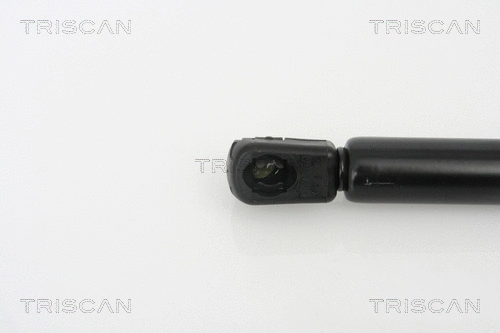 Gas Spring, boot/cargo area